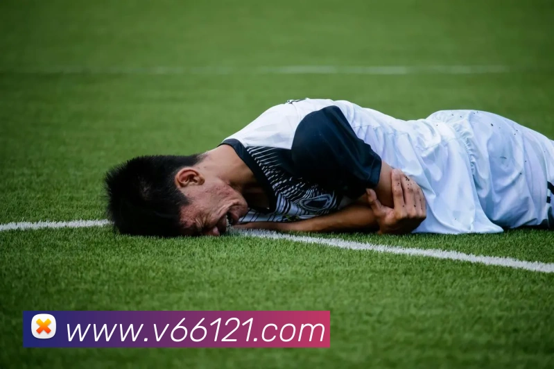V66体育品牌故事